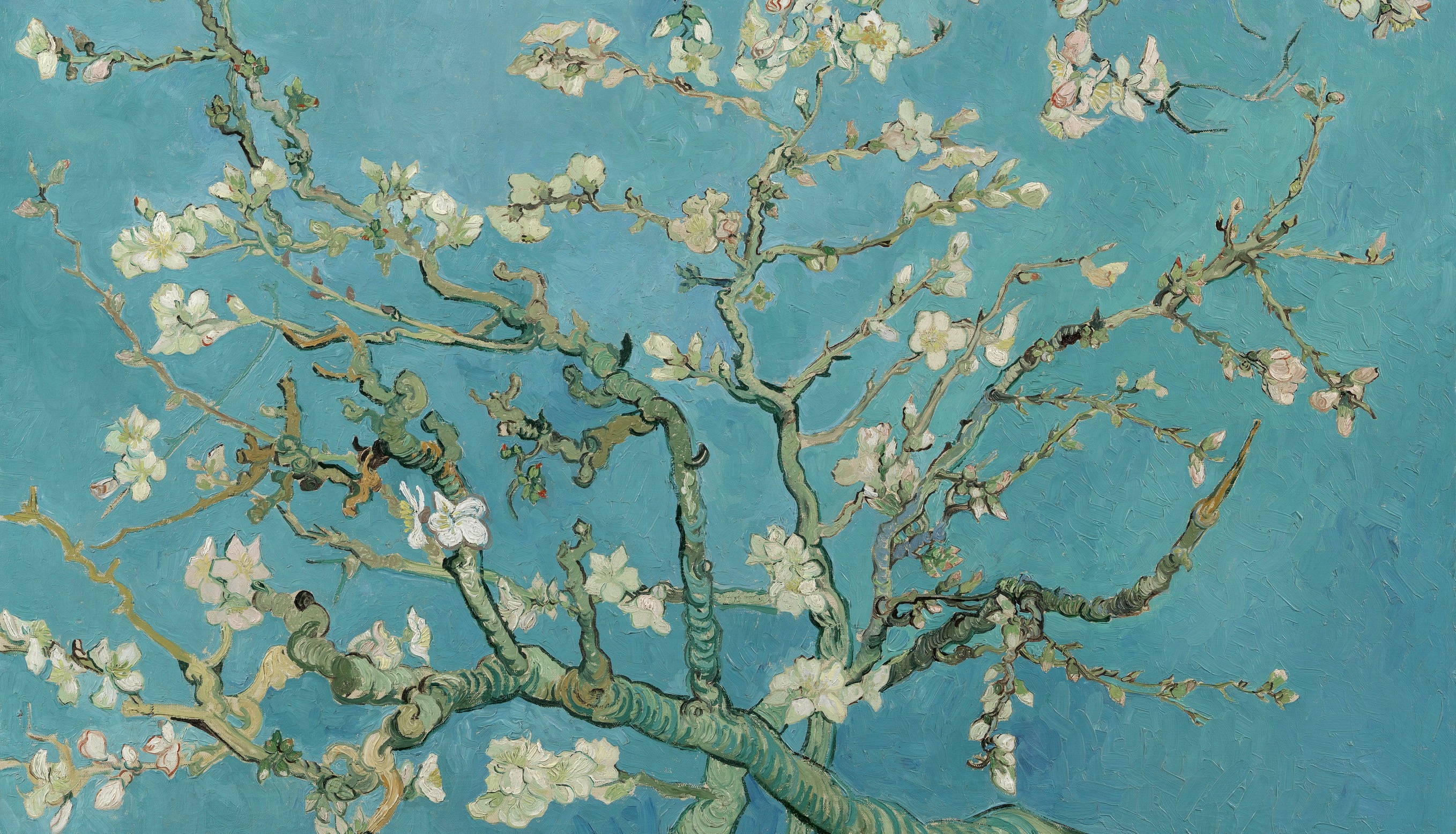 van Gogh, Mandeltre i blomst (1890)